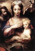 BECCAFUMI, Domenico Madonna with the Infant Christ and St John the Baptist  gfgf oil painting